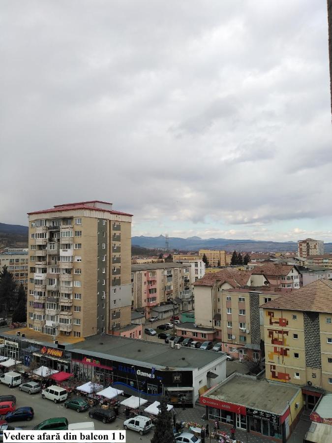 Apartament Salina Bulevard Alba Iulia Exterior photo